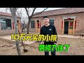 10万元买的农村小院，开始装修入住了，看看这种生活怎么样?