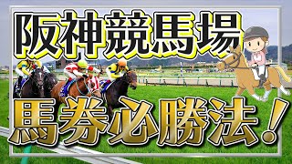 阪神競馬場を徹底分析！馬券が当たる法則とは？