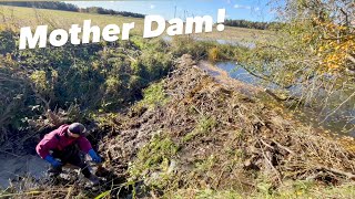 The Ultimate Beaver Dam!