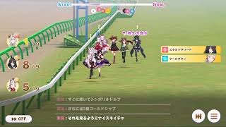 【ウマ娘】チャンピオンミーティング後半レースBGM