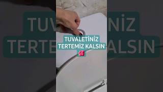 Evde denediğim bu yöntemle her sifonda tuvaletim temizleniyor ! 🪻🪷🌿  #cleaning #shortvideo #shorts