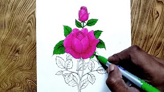 Rose flower drawing/How to draw rose flowers easy steps for beginners