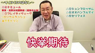 高橋利明の競馬のはなし120回目　マイルCS、東スポ杯2歳S、福島民友C、福島記念、エリザベス女王杯の話など