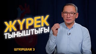 Әлемнің жаратылу логикасы | Жүрек тыныштығына қол жеткізіңіз | #Шүкіршілік 3 | Рауан Жұмабайұлы