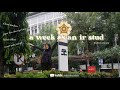 🗓️ uni vlog eps. 1 | a week in my life as an international relation student at ugm