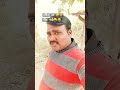 ￼ तकिए पर गिर गई 🤪😂😜 ytshorts funny comedy husbandwifecomedy viralshort anoopkumarunchahar ￼