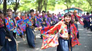 飛舞人 華紡ぎ 原宿スーパーよさこい NHK前ストリート 1回目