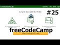 25 - Intro to the CSS Flexbox and CSS Grid Challenges | RESPONSIVE WEB DESIGN CERTIFICATION