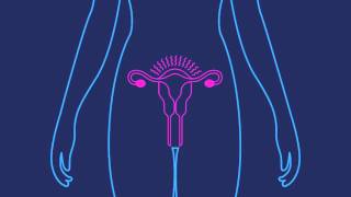 How Effective is the Birth Control Shot | Planned Parenthood Video