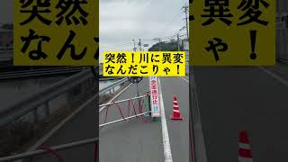 なんだこれ!?ミステリー。突然、川の護岸に異変！#shorts 【長崎県・長与町】