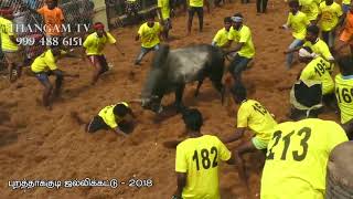 Purathakudi jallikattu 2018 part 2- 5