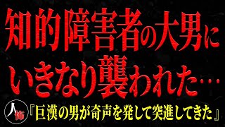 【2chヒトコワ】知的障害者で巨漢の男が公園でいきなり襲ってきた…【短編2話】【怖いスレ】