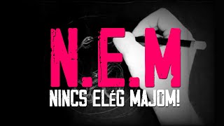 N.E.M. (Nincs Elég Majom) @rozsaszinpittbull 2022