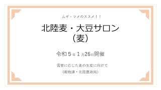 「ムギ・マメのススメ‼」北陸麦・大豆サロン（麦）（穀物課・北陸農政局）