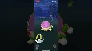 ポケモンGO❗️色違い🌟マフラー🎀タマザラシ出現😍😍😍嬉しい〜(タスク)