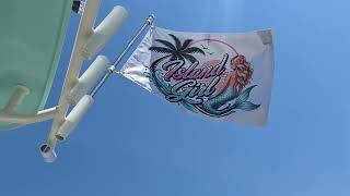 Custom Flags 2x3 ft | Ships Next Day, Made in USA | Custom Flag Banner, Customized Flags Banners