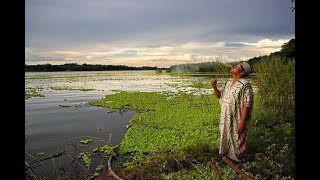 Good Morning Tabacco - Music Ayahuasca Medicine