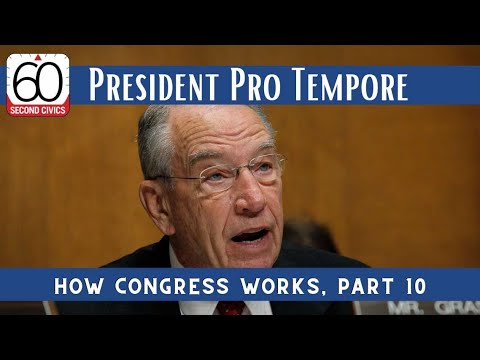 What does the president pro tempore do?