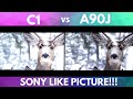 Sony A90J OLED vs LG OLED C1 Picture Quality Test Shadow Details