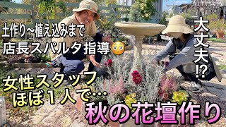 【花壇作り】2022秋の花壇作り。正解は〇〇にあり！