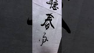 247  小楼一夜听春雨，深巷明朝卖杏花 #calligraphy #art #handwriting