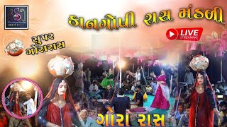 Gora Ras || Kan Gopi Ras Mandali || ગોરા રાસ કાન ગોપી || Nakalank dham Ranuja-Sanosari