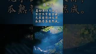 自然成 #人生感悟 #诗句 #原创诗词 #唯美意境