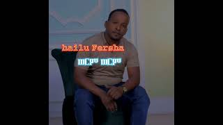 Hailu Fersha ወርም ወርም ኧዥና ይብሬ ጉራጊኛ ሙዚቃ