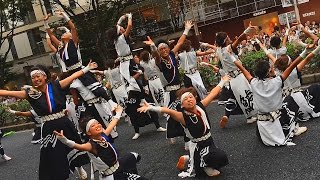 2016 8/28 名古屋学生チーム 鯱 どまつり SYACHI in DOMATSURI Festival 大津通パレード西会場