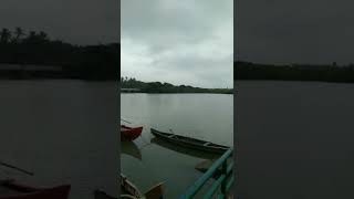 Kadalundi Bird Sanctuary, Kozhikode, Kerala, India #shorts #short #viral #trending #youtubeshorts