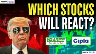 Donald Trump's Impact On Indian Stocks: Waaree Energies, Cipla \u0026 More