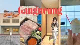 강릉 여행 vlog | 혼자 여행한 강릉🌊 | 찐 순두부 맛집 공유🔥 | 오션뷰 카페 | 하슬라아트월드 | 세인트존스 호텔에서 호캉스🖤 | 유럽 감성 호텔 느낌 카페🏩