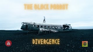 TheBlackParrot - Divergence Remastered VIP ♫ RFM Library ♫ Best Royalty Free Music 2021|#rfmlibrary