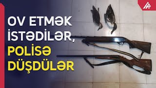 Qanunsuz ov edən iki nəfər saxlanıldı - APA TV