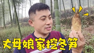 Brother Yong digs some winter bamboo shoots every time he goes to his mother-in-law’s house