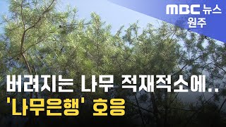 2024. 8. 19 [원주MBC] 버려지는 나무 적재적소에.. '나무은행' 호응