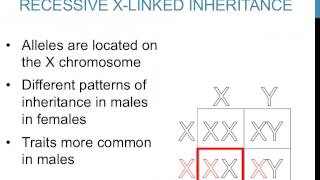 Patterns of inheritance