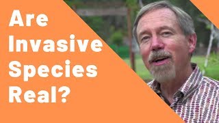 Are Invasive Species Real?