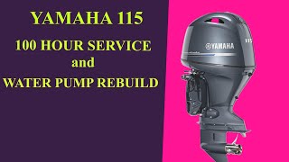 I Saved $800! Yamaha 115 100 Hour Service and Water Pump Rebuild #yamaha #diy