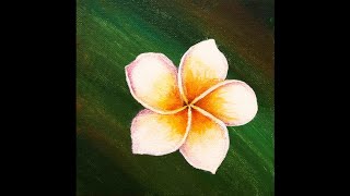 Easy Plumerian Flower Acrylic Painting for Beginners | Frangipani Flower step by step