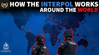 What Is The INTERPOL?