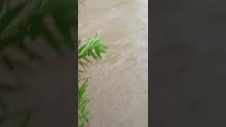 KORUTLA LO L.F.S SCHOOL FLOODS