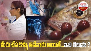 Are Fish Eyes Good For You ? : మీరు చేప కళ్ళు తినేవారు అయితే...ఇది తెలుసా ? || ABN Digital