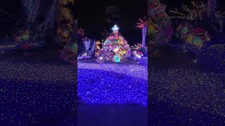 【湘南の宝石2024-2025】 江の島を彩る光と色の祭典 ENOSHIMA illumination 2025.1.18 #illumination #chrismas