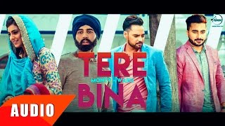 Tere Bina ( Full Audio Song ) | Monty & Waris | Punjabi Song Collection | Speed Records