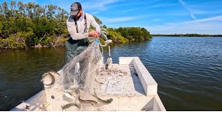 The Last Commercial Cast Net Season in the Gulf of Mexico? Gulf of America Mullet?