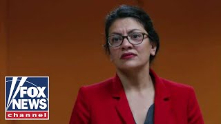 Tlaib forgoes trip to West Bank to see grandmother, blasts Israel for 'oppressive conditions'