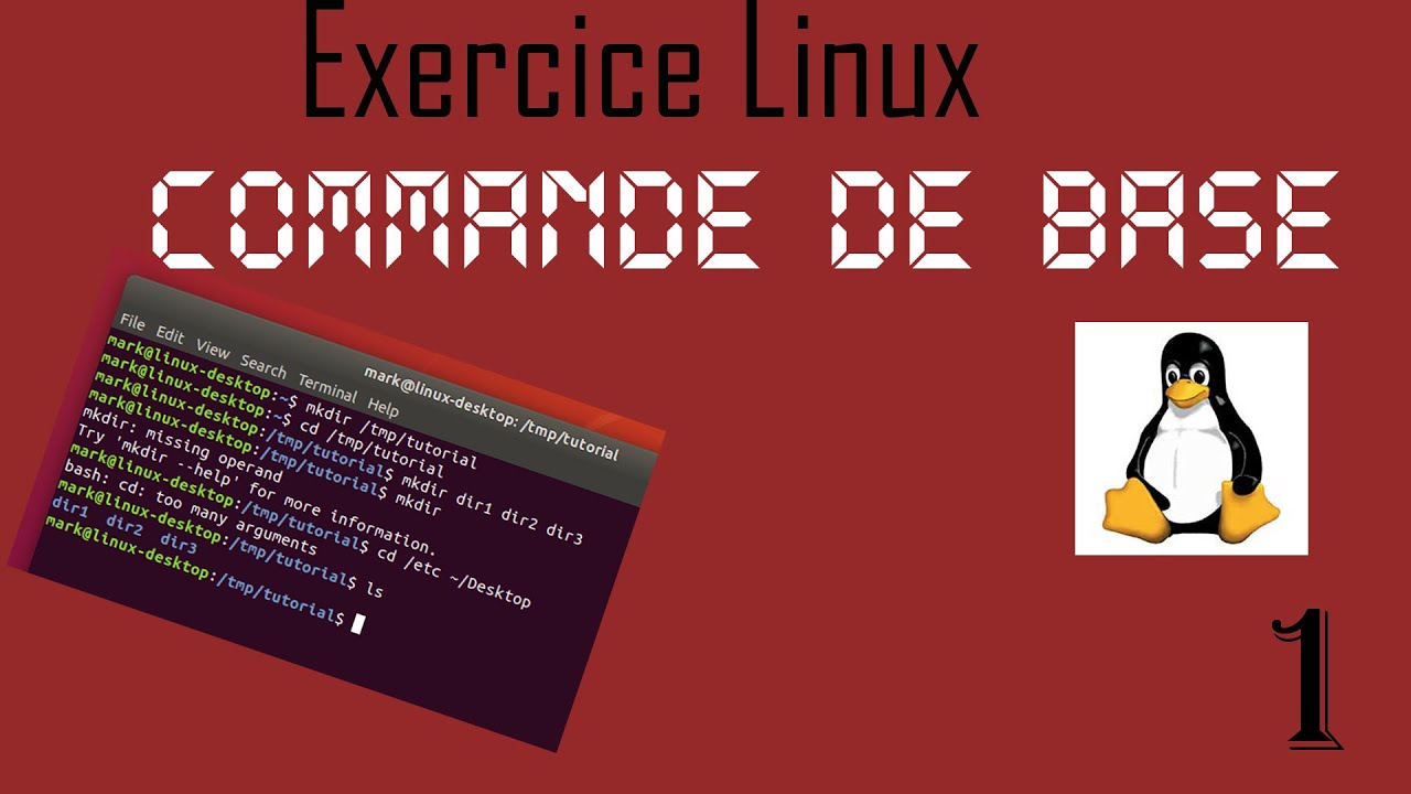 Exercice Linux 1 # Commande De Base - YouTube