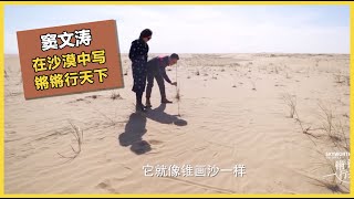 窦文涛在沙漠写下《锵锵行天下》，书法功力不浅引来周轶君狂夸！ | #锵锵行天下 第三季 #窦文涛