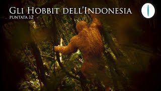 Gli HOBBIT dell'Indonesia